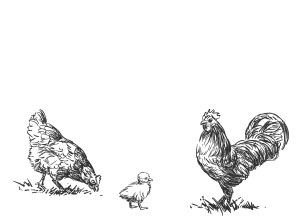 poultry